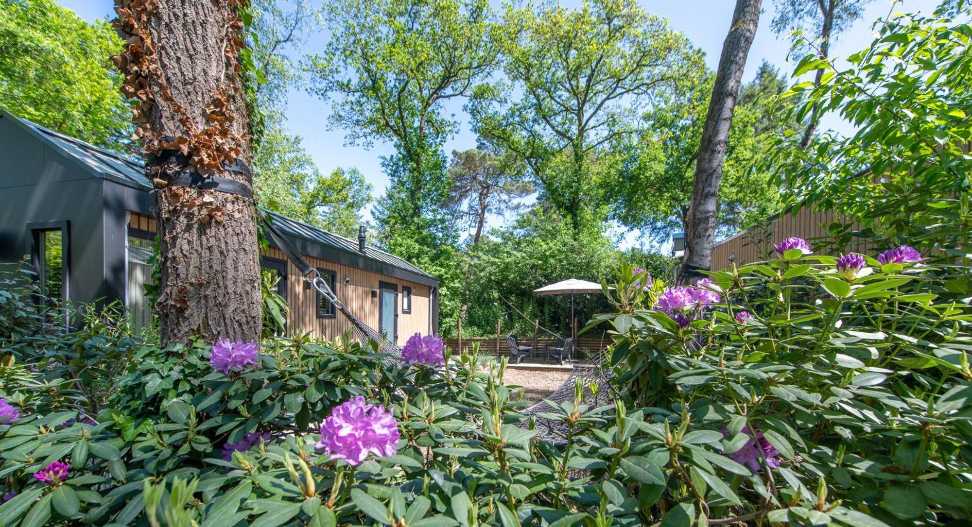 ヌンスペート Tinyhouse Grasmusヴィラ エクステリア 写真